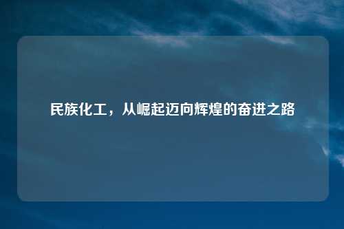 民族化工，从崛起迈向辉煌的奋进之路