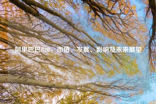 阿里巴巴B2B，市值、发展、影响及未来展望