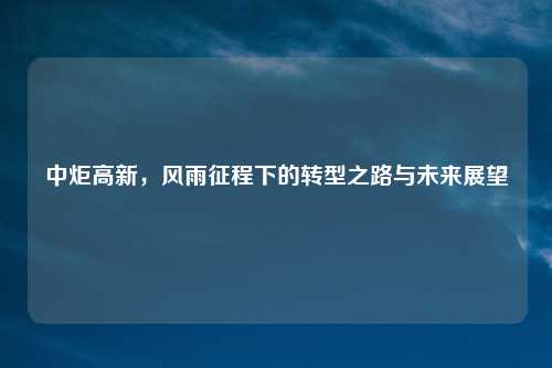 中炬高新，风雨征程下的转型之路与未来展望