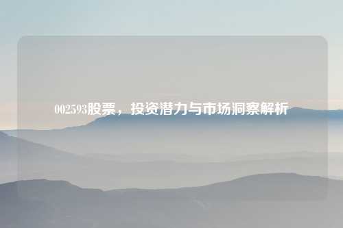 002593股票，投资潜力与市场洞察解析