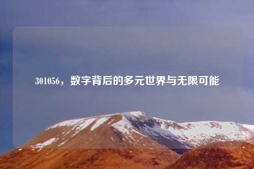 301056，数字背后的多元世界与无限可能