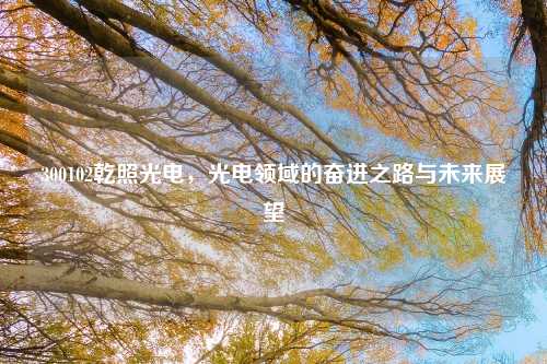 300102乾照光电，光电领域的奋进之路与未来展望