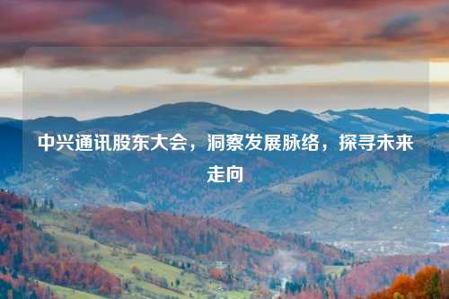 中兴通讯股东大会，洞察发展脉络，探寻未来走向