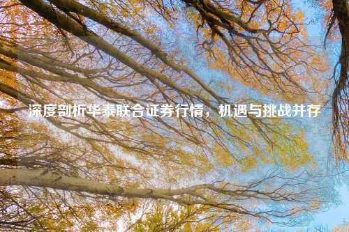 深度剖析华泰联合证券行情，机遇与挑战并存