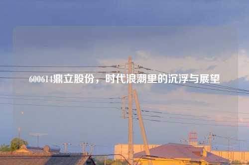600614鼎立股份，时代浪潮里的沉浮与展望