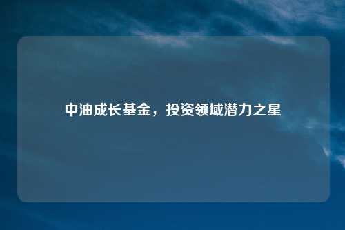 中油成长基金，投资领域潜力之星