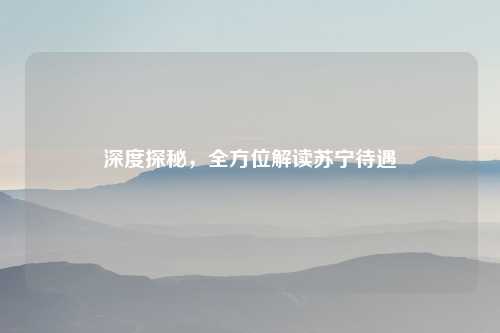 深度探秘，全方位解读苏宁待遇