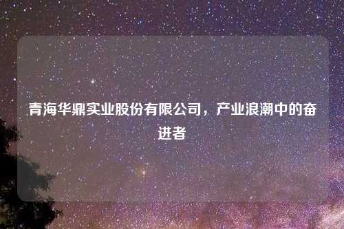 青海华鼎实业股份有限公司，产业浪潮中的奋进者