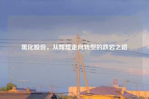 黑化股份，从辉煌走向转型的跌宕之路