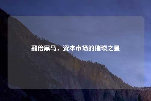 翻倍黑马，资本市场的璀璨之星