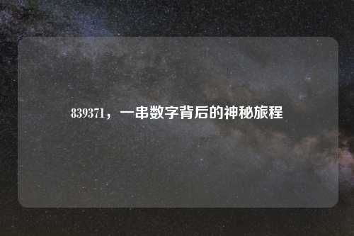 839371，一串数字背后的神秘旅程