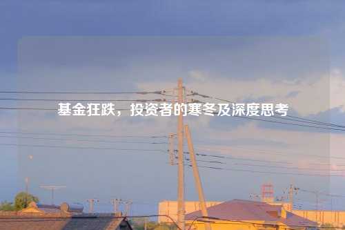 基金狂跌，投资者的寒冬及深度思考