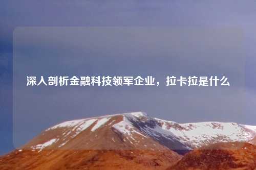 深入剖析金融科技领军企业，拉卡拉是什么