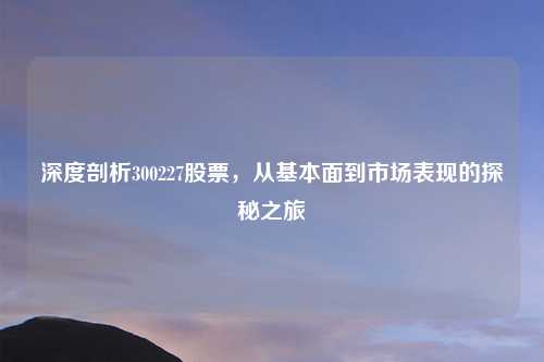 深度剖析300227股票，从基本面到市场表现的探秘之旅