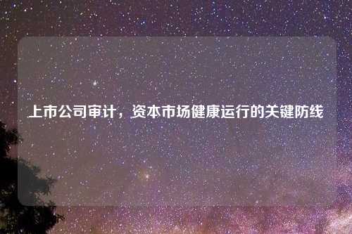 上市公司审计，资本市场健康运行的关键防线