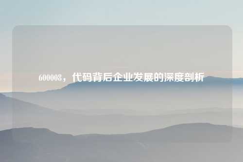 600008，代码背后企业发展的深度剖析