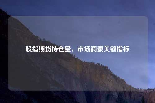 股指期货持仓量，市场洞察关键指标