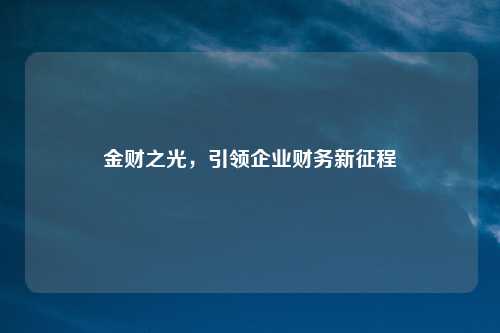 金财之光，引领企业财务新征程