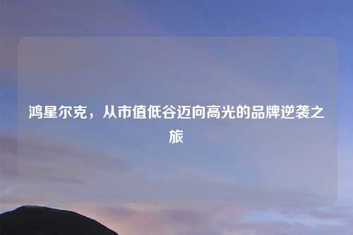 鸿星尔克，从市值低谷迈向高光的品牌逆袭之旅
