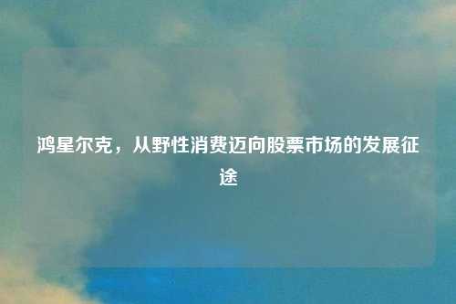 鸿星尔克，从野性消费迈向股票市场的发展征途