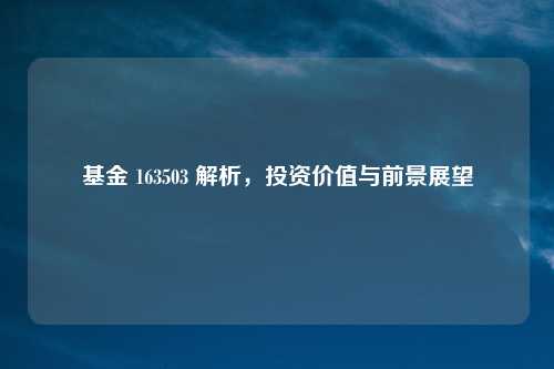 基金 163503 解析，投资价值与前景展望