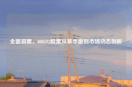 全面洞察，000592股票从基本面到市场动态剖析