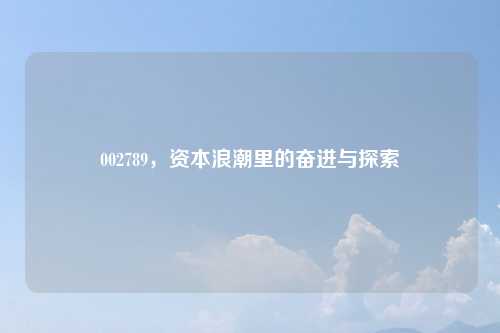 002789，资本浪潮里的奋进与探索
