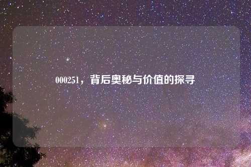 000251，背后奥秘与价值的探寻