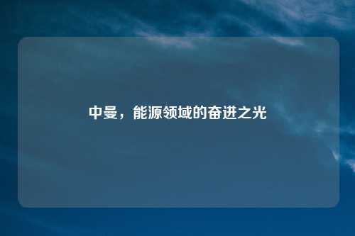 中曼，能源领域的奋进之光