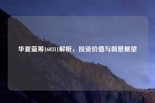 华夏蓝筹160311解析，投资价值与前景展望