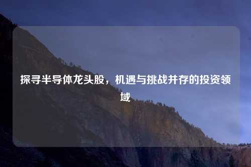 探寻半导体龙头股，机遇与挑战并存的投资领域