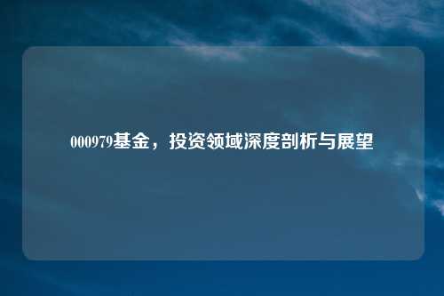 000979基金，投资领域深度剖析与展望