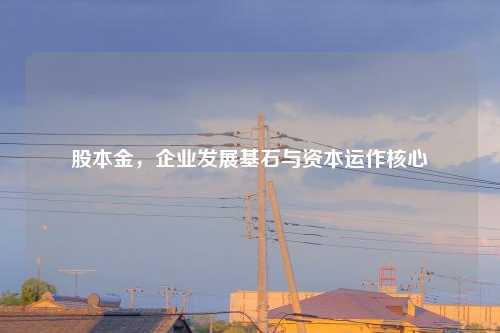 股本金，企业发展基石与资本运作核心