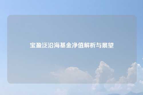 宝盈泛沿海基金净值解析与展望