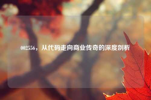 002556，从代码走向商业传奇的深度剖析