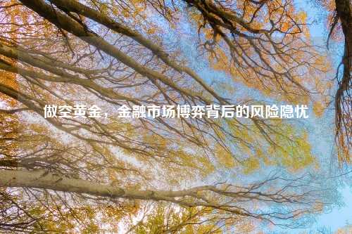 做空黄金，金融市场博弈背后的风险隐忧