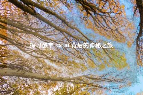 探寻数字 836504 背后的神秘之旅