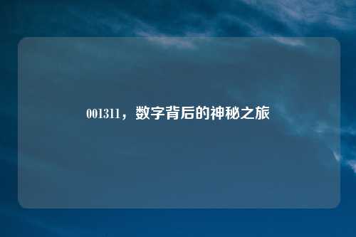 001311，数字背后的神秘之旅