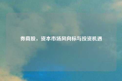 券商股，资本市场风向标与投资机遇