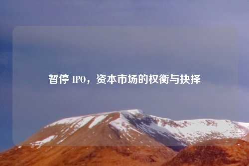 暂停 IPO，资本市场的权衡与抉择