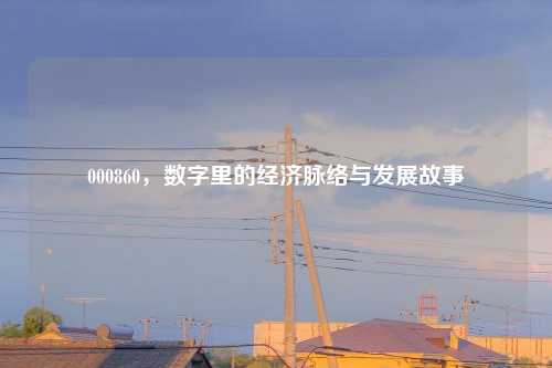 000860，数字里的经济脉络与发展故事