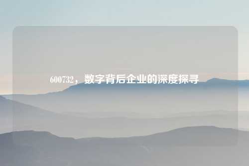600732，数字背后企业的深度探寻