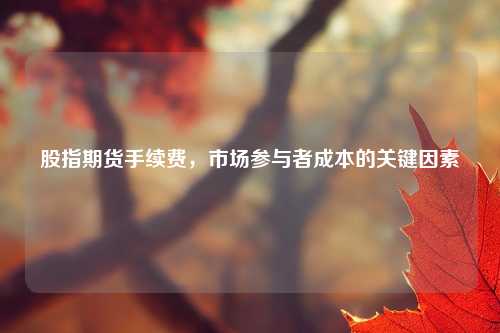 股指期货手续费，市场参与者成本的关键因素