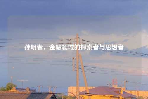 孙明春，金融领域的探索者与思想者