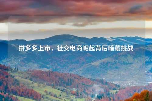 拼多多上市，社交电商崛起背后暗藏挑战