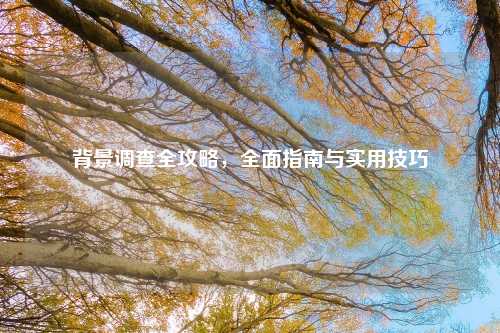 背景调查全攻略，全面指南与实用技巧