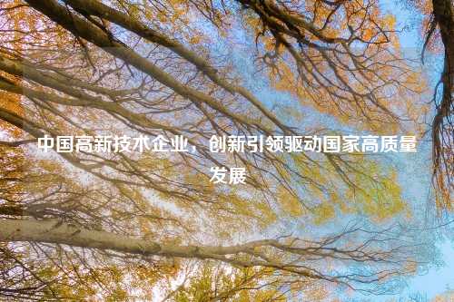 中国高新技术企业，创新引领驱动国家高质量发展