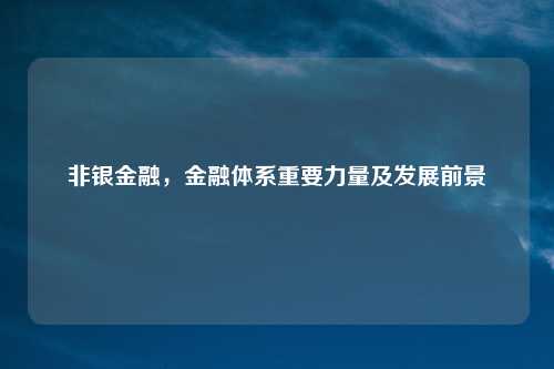 非银金融，金融体系重要力量及发展前景