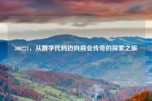 300221，从数字代码迈向商业传奇的探索之旅