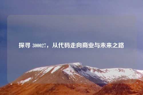探寻 300027，从代码走向商业与未来之路